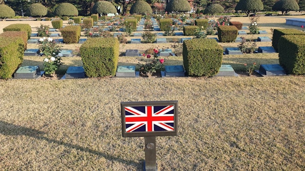 A cemetery with neatly arranged gravestones and well-maintained hedges. There are rose bushes with blooms scattered among the headstones. A small plaque in the foreground features the Union Jack, indicating a connection to the United Kingdom.