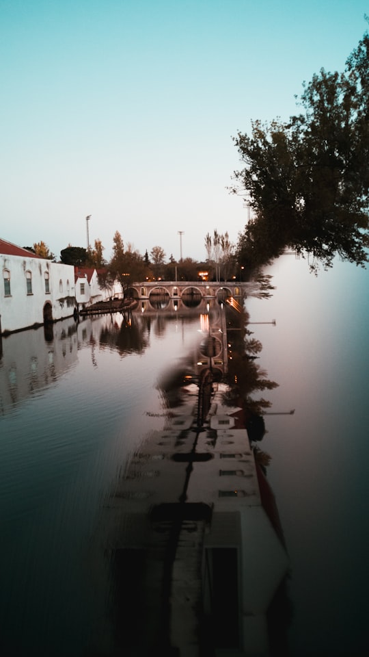 wet road near trees during daytime in Tomar Portugal