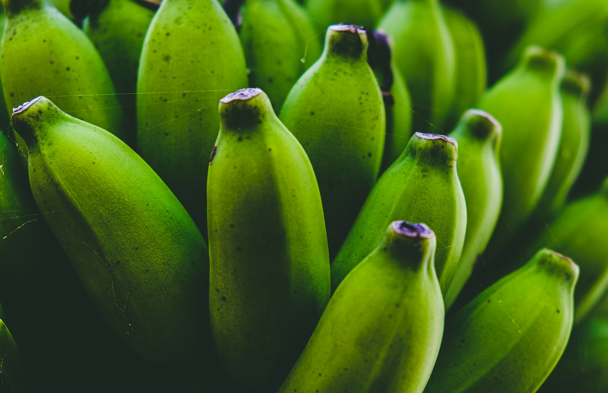 Green bananas

👋 Small donation -> huge appreciation paypal.me/DanieleFranchi 🙏🙏🙏