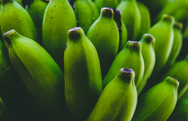 Platanos verdes