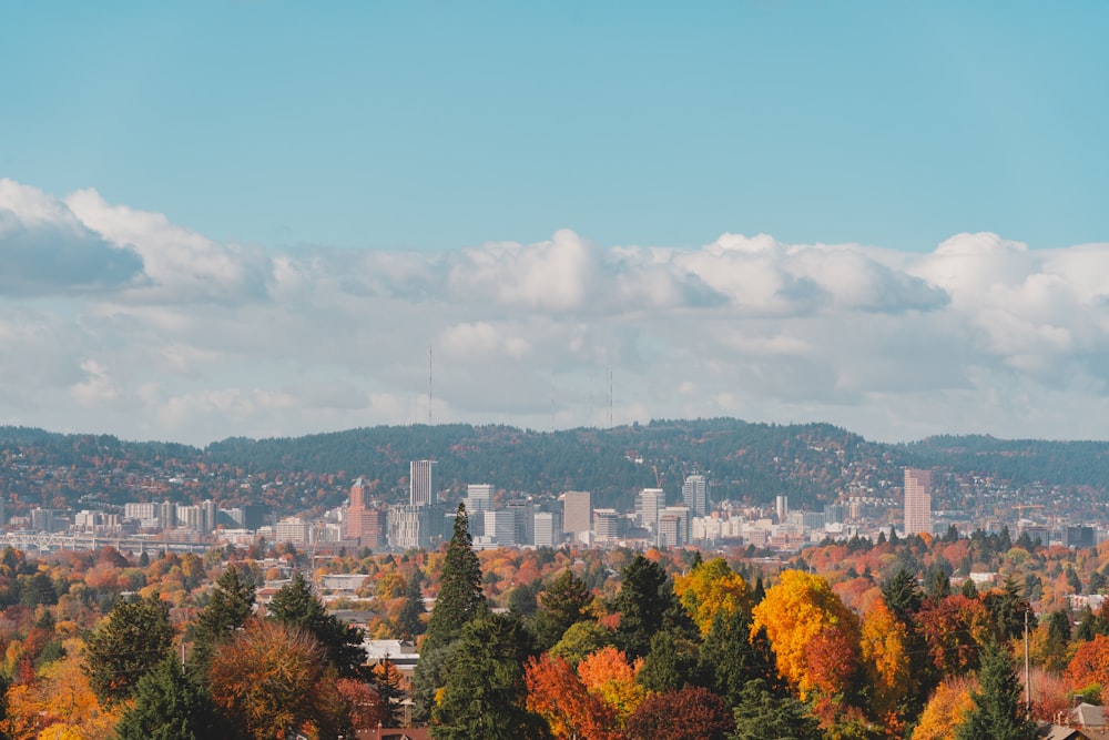 aerial view of buildings and trees during daytime