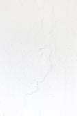 a black and white cat laying on a white surface