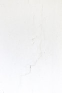a black and white cat laying on a white surface