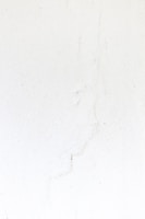 a black and white cat laying on a white surface