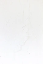 a black and white cat laying on a white surface