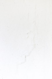 a black and white cat laying on a white surface