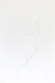 a black and white cat laying on a white surface