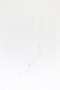 a black and white cat laying on a white surface