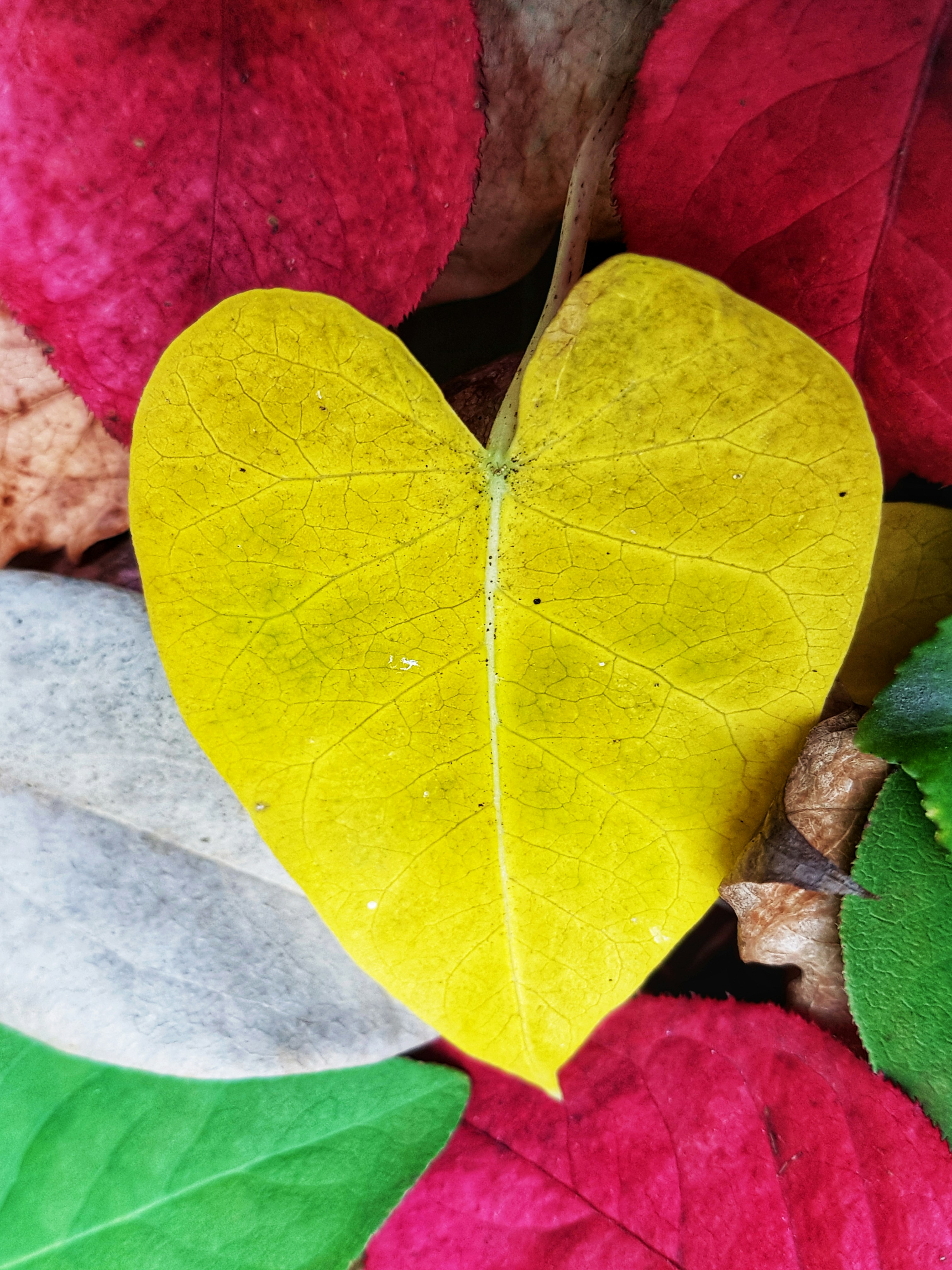 photo 1573828925073 85ecb4149a39?ixlib=rb 4.0