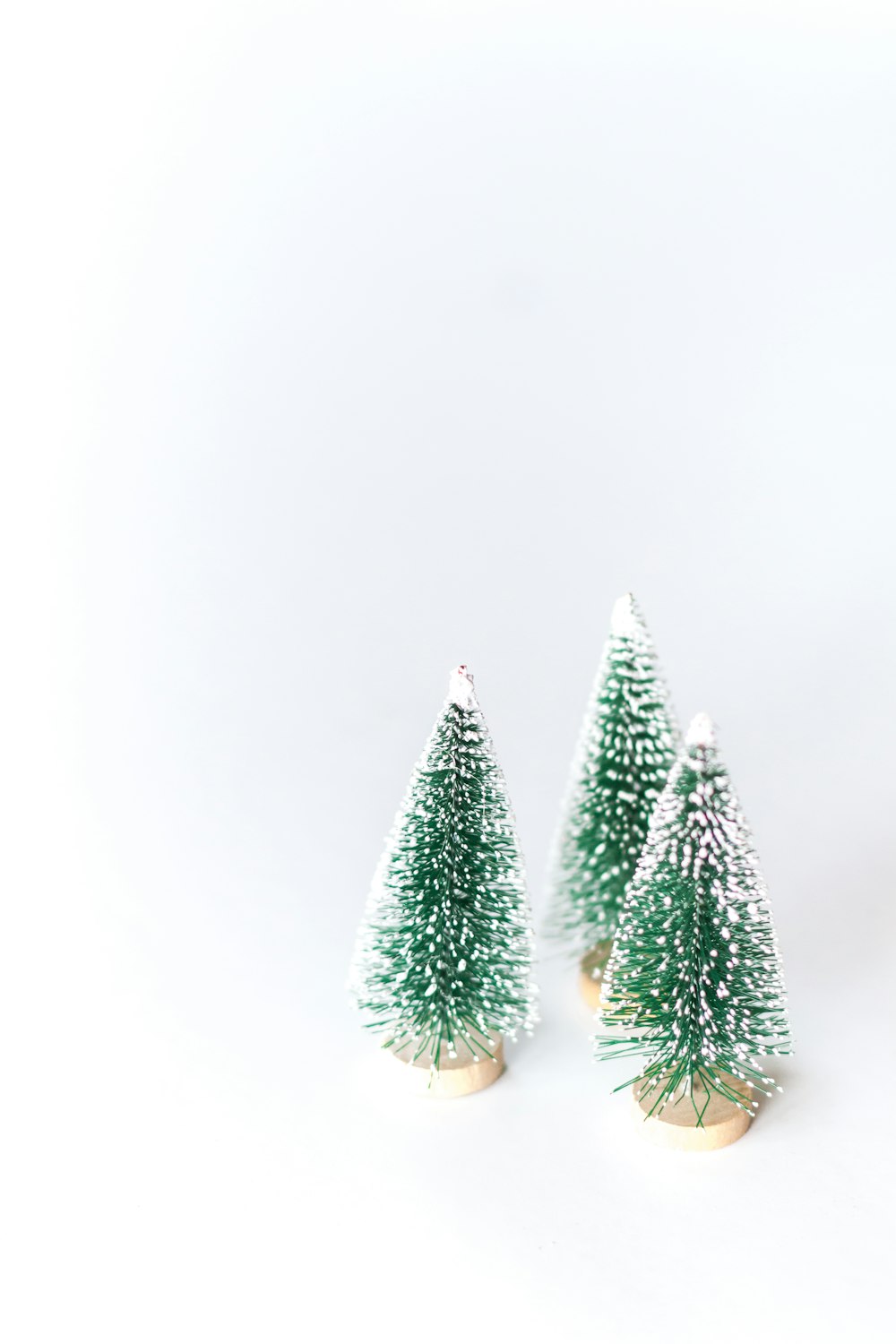 three small green Christmas trees