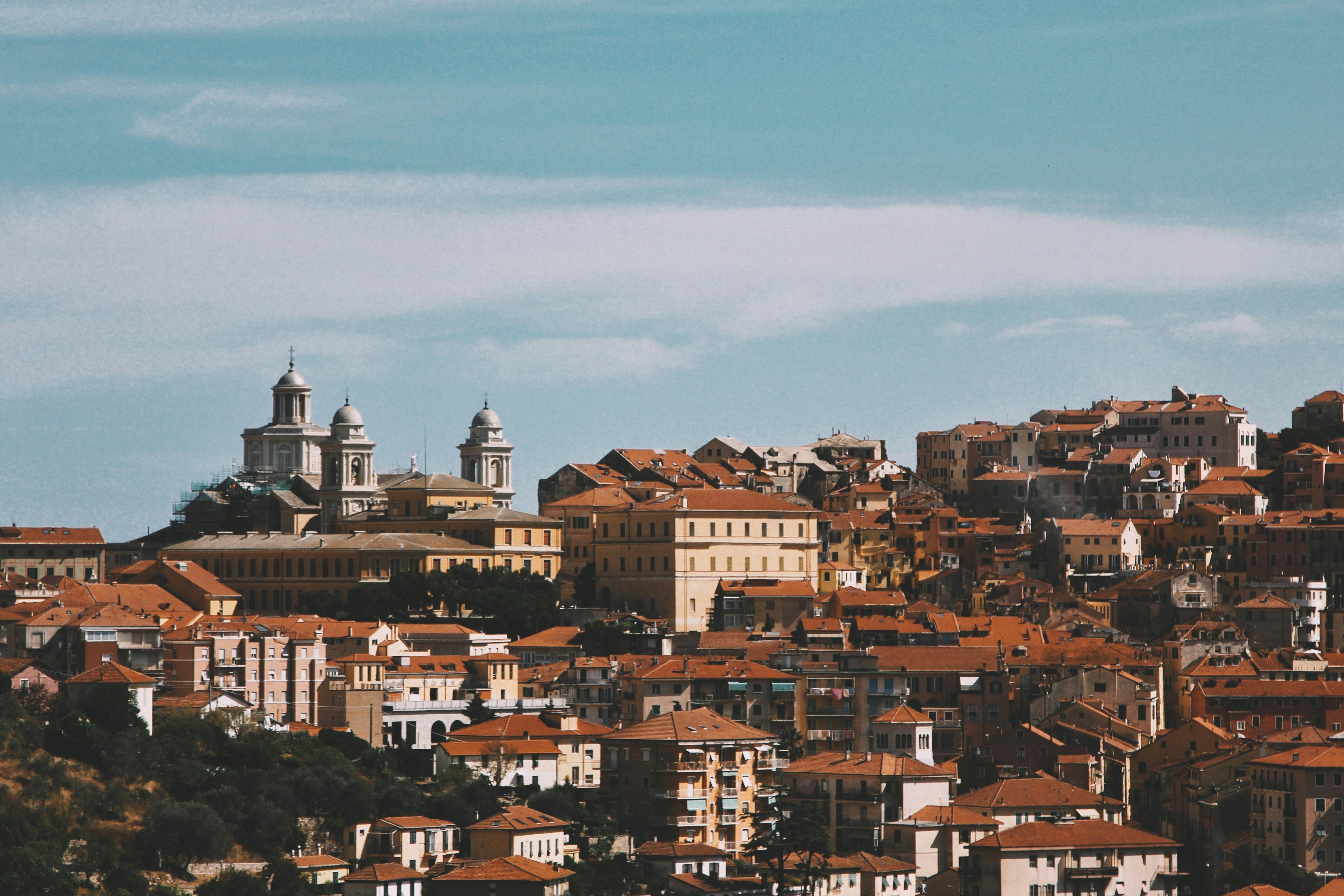 Photo by honeysuckle_phonie