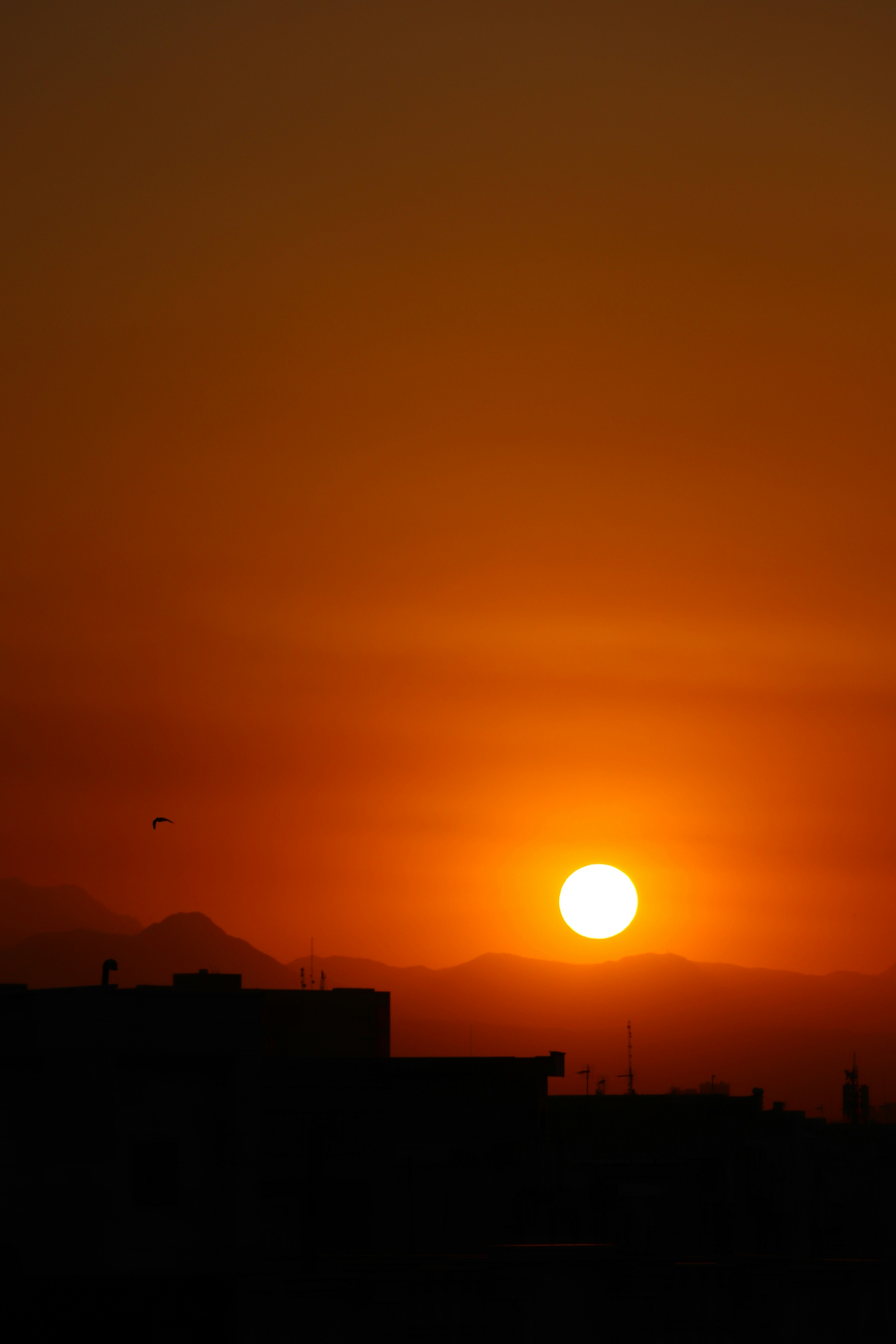 Photo by dahaghin_ma