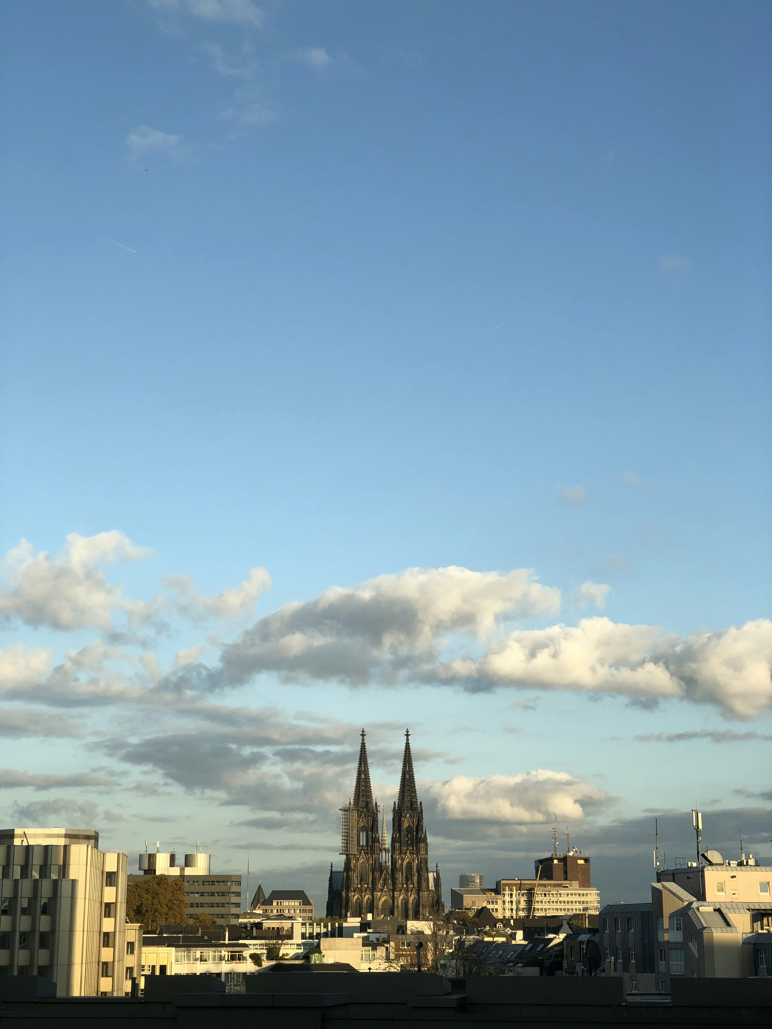 brown cathedral photograph