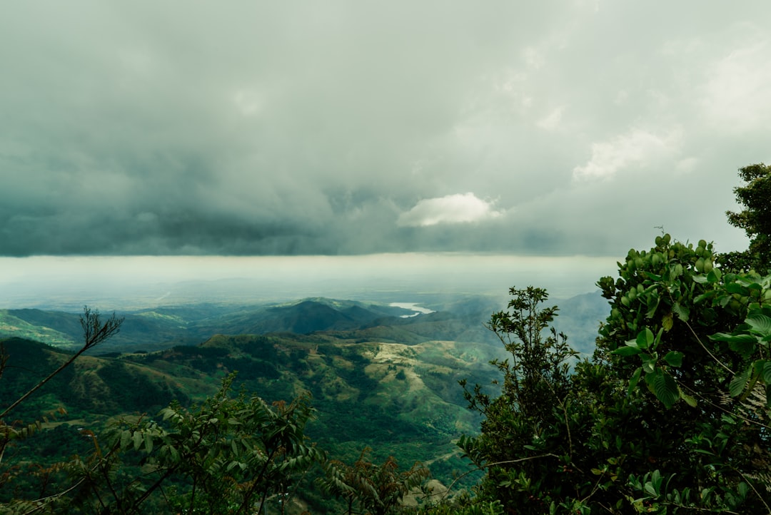 mountains during day, Beautiful mountain view from the top in Panama landscape with a lot of green leaves and plants and