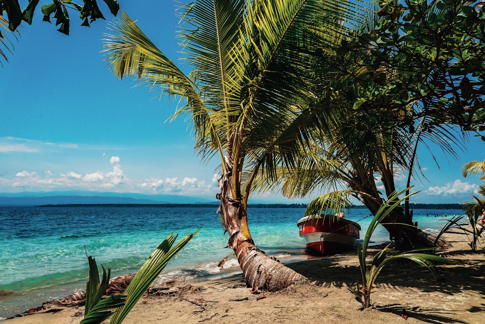 beach during daytime