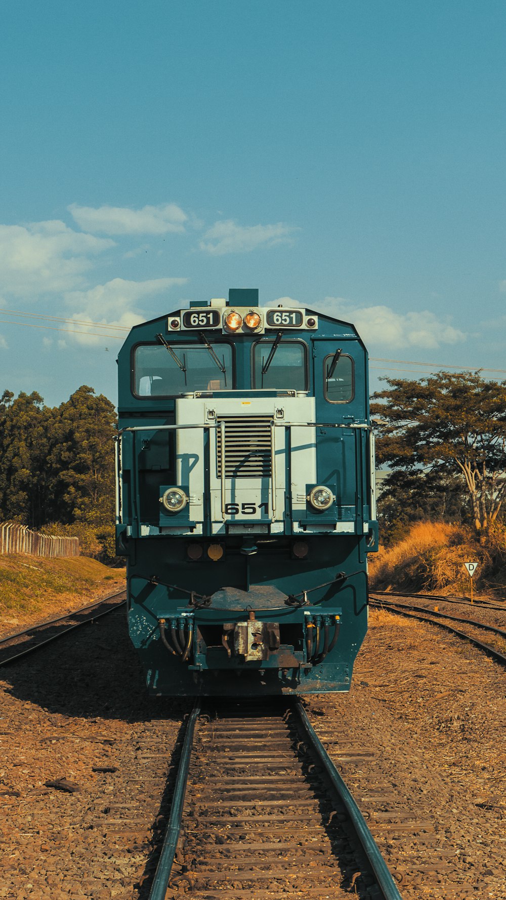 blue and white train on railroad during day