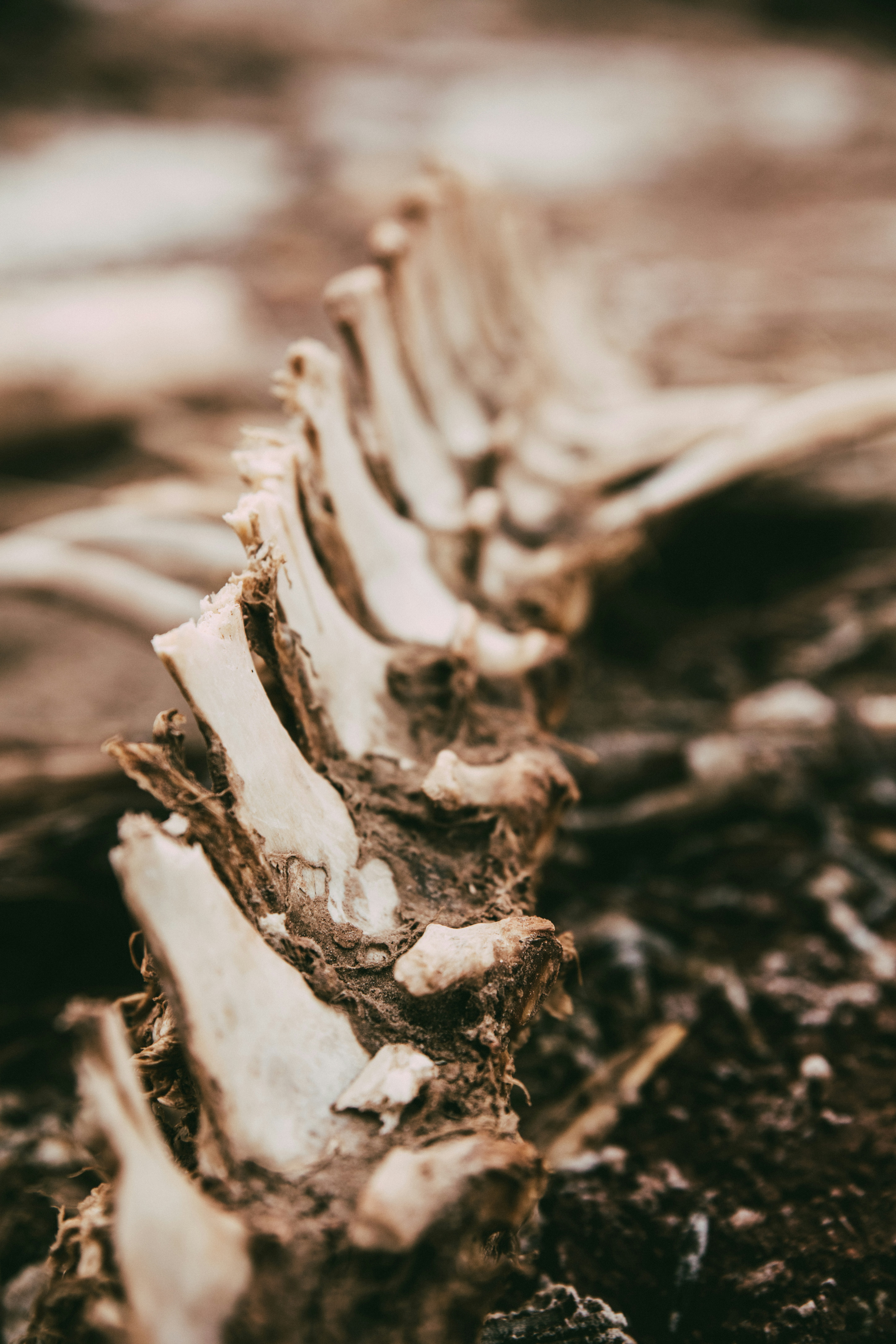 Photo by worldsbetweenlines