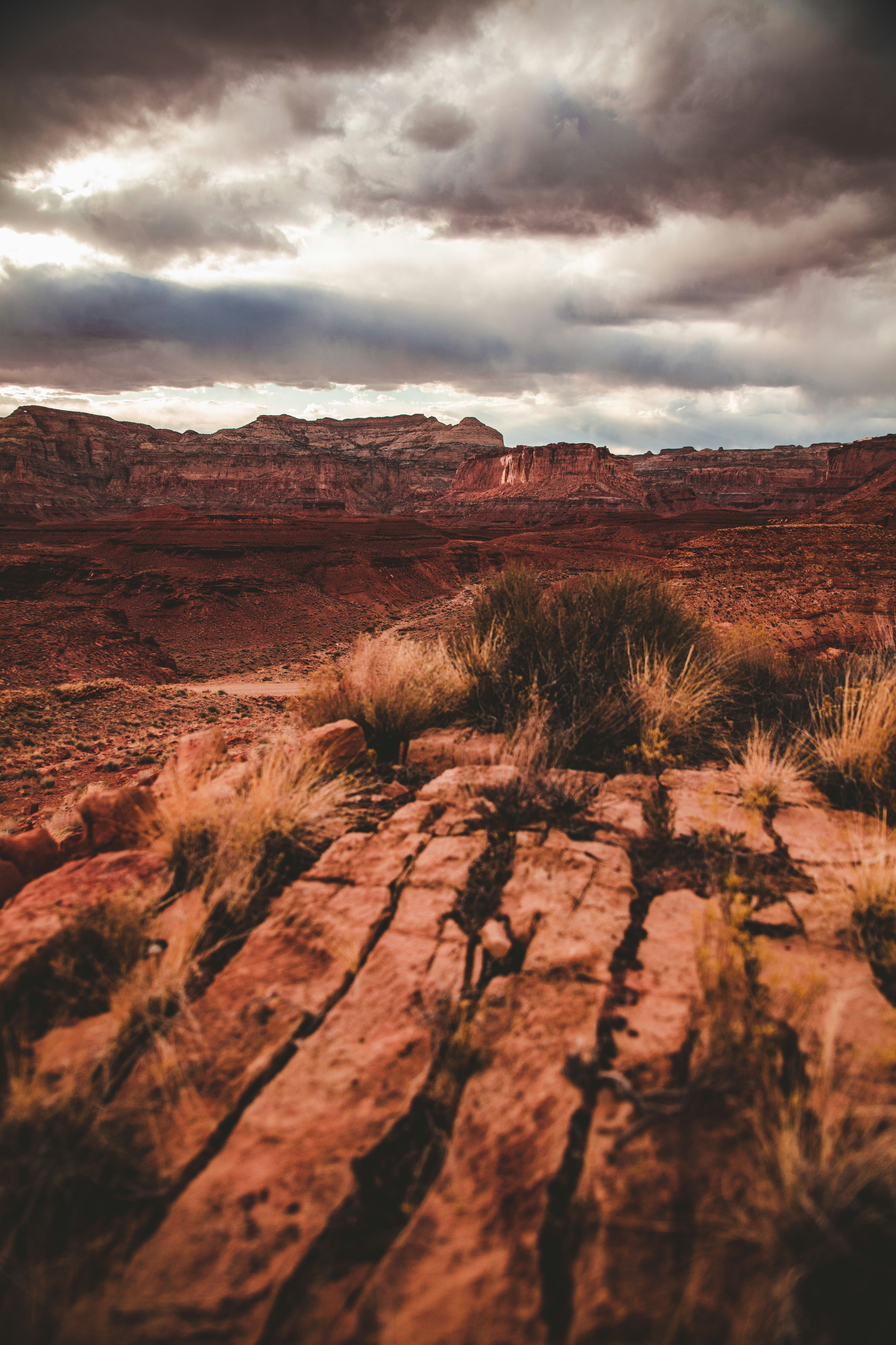 Photo by worldsbetweenlines