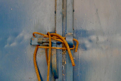 A sturdy, classic metal security door painted deep blue on a suburban home.