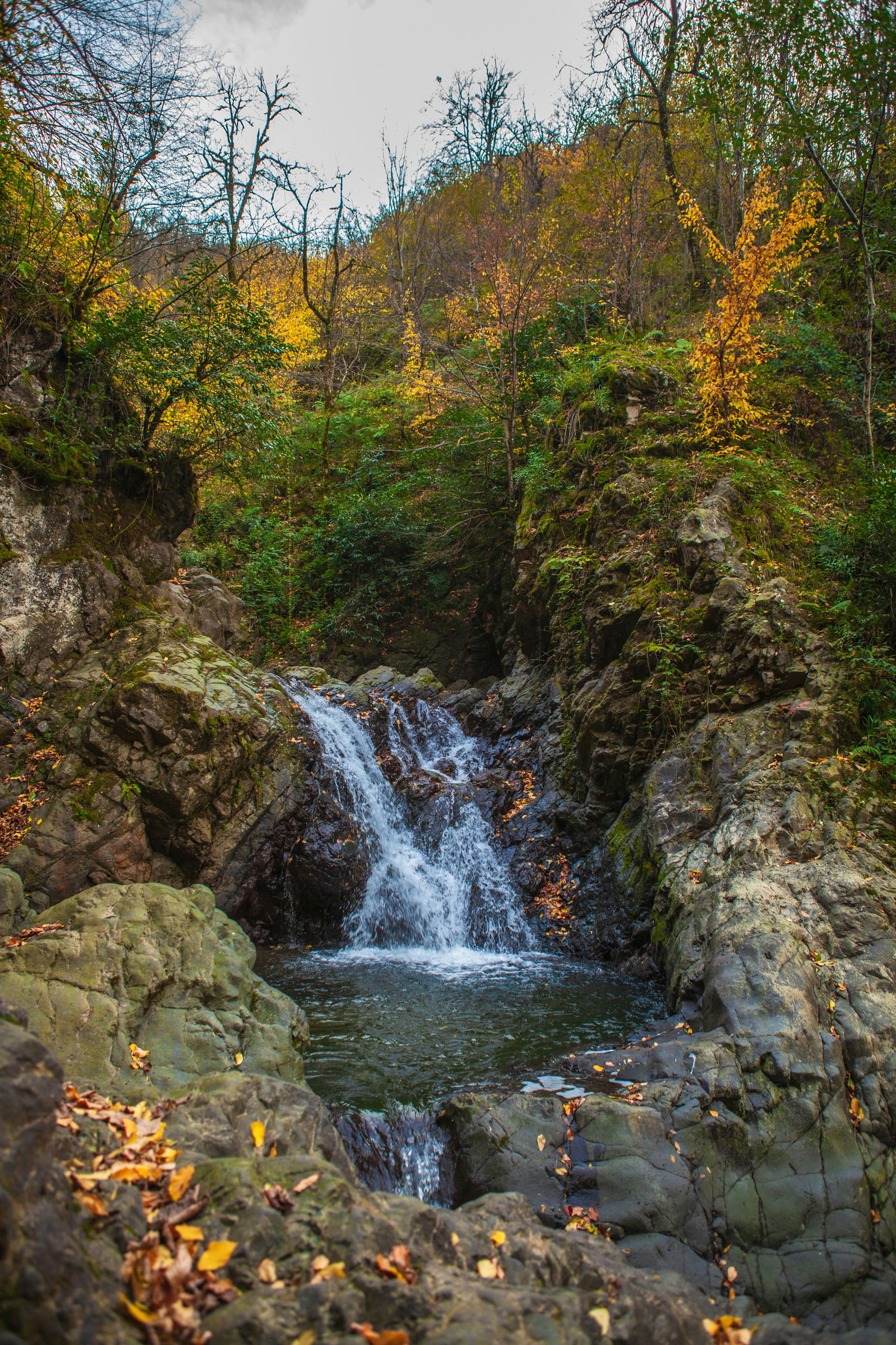 Photo by aminsafaripour