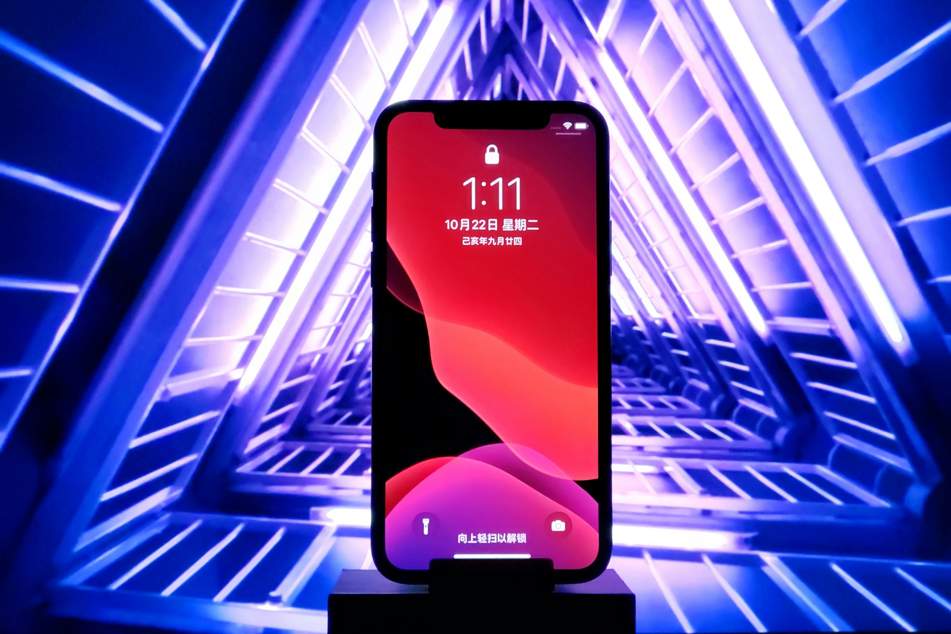 Pengolahan Labu Kuning Menjadi Berbagai Produk Olahan Pangan Image