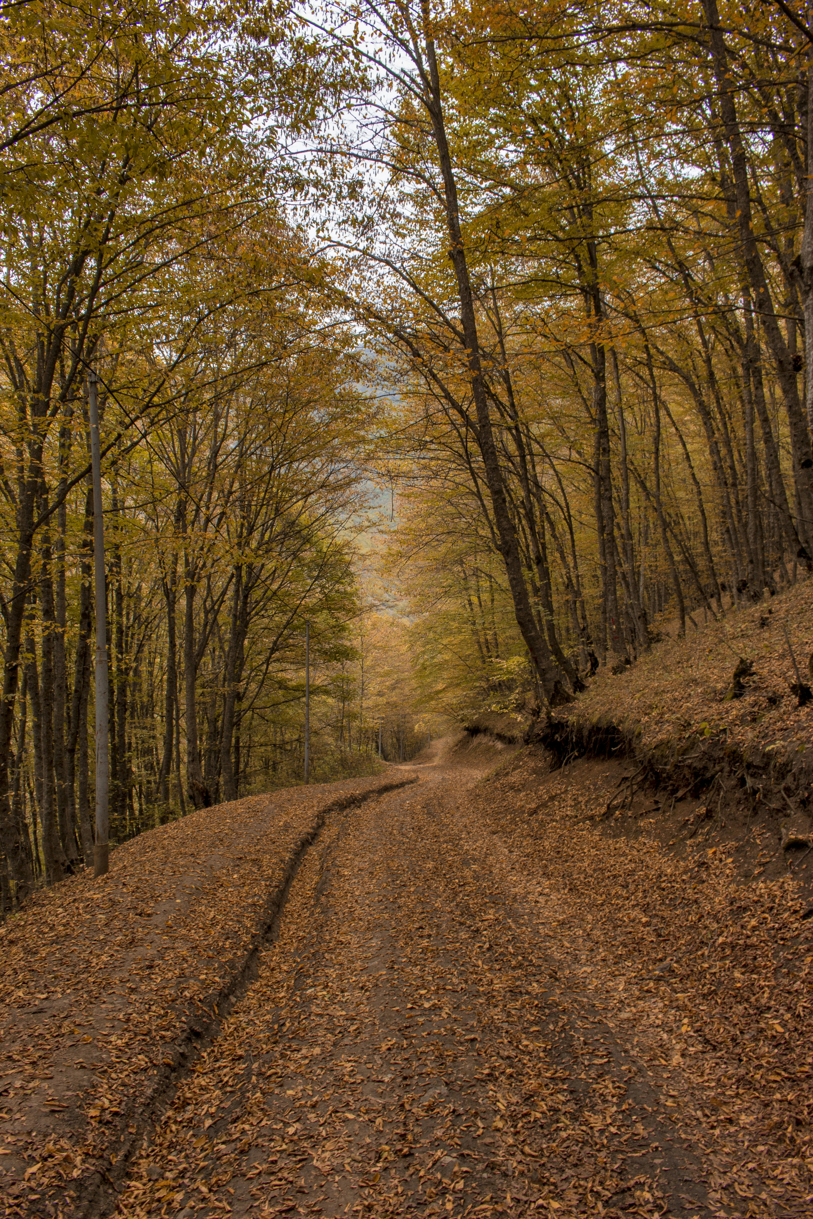 Photo by aliasgharfotovat