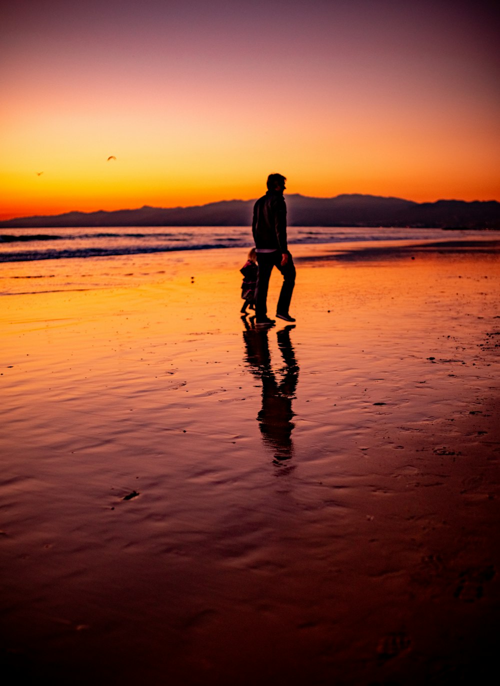 man and child walk at the seashore during sunset