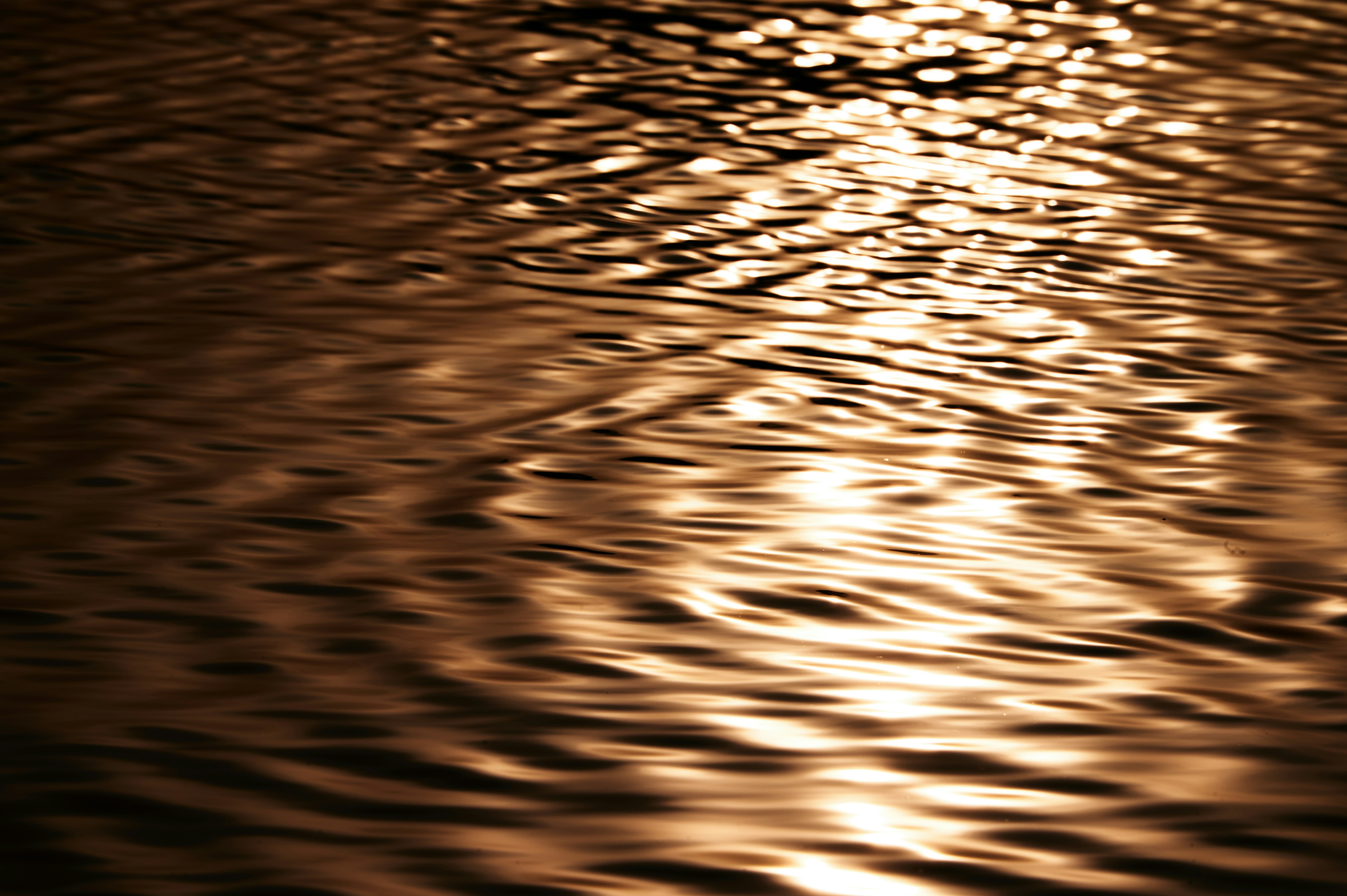 Photo by faizanrao