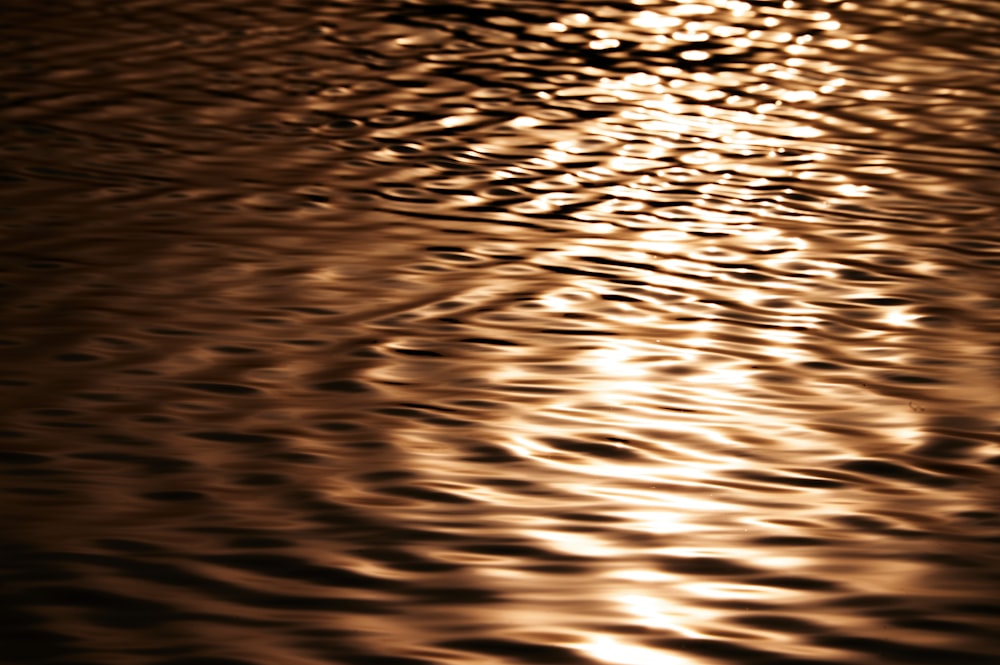 brown calm water
