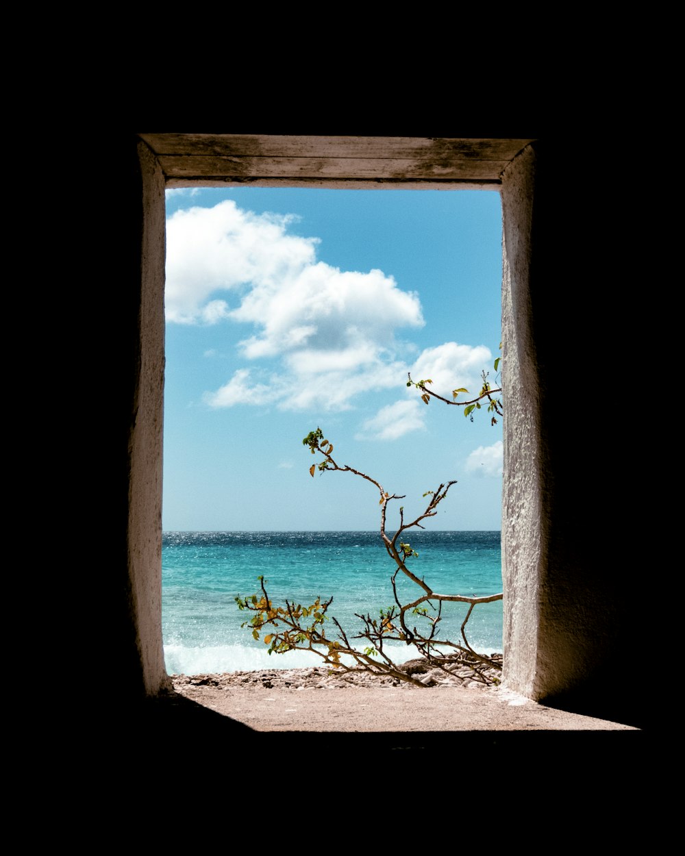 Vista de la playa durante el día