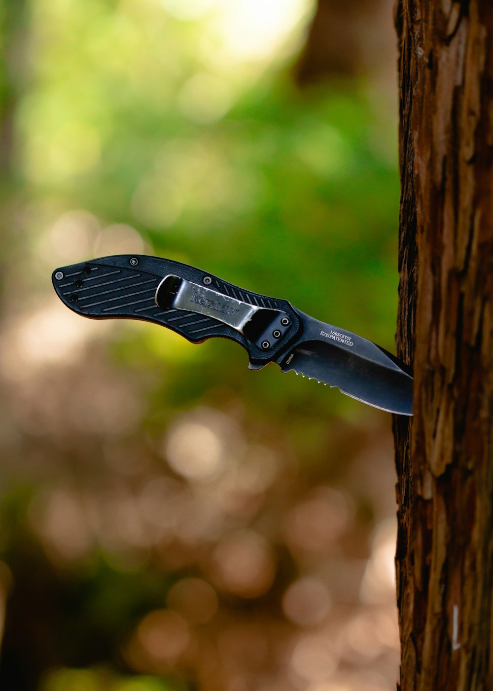 black pocket knife stick in tree trunk