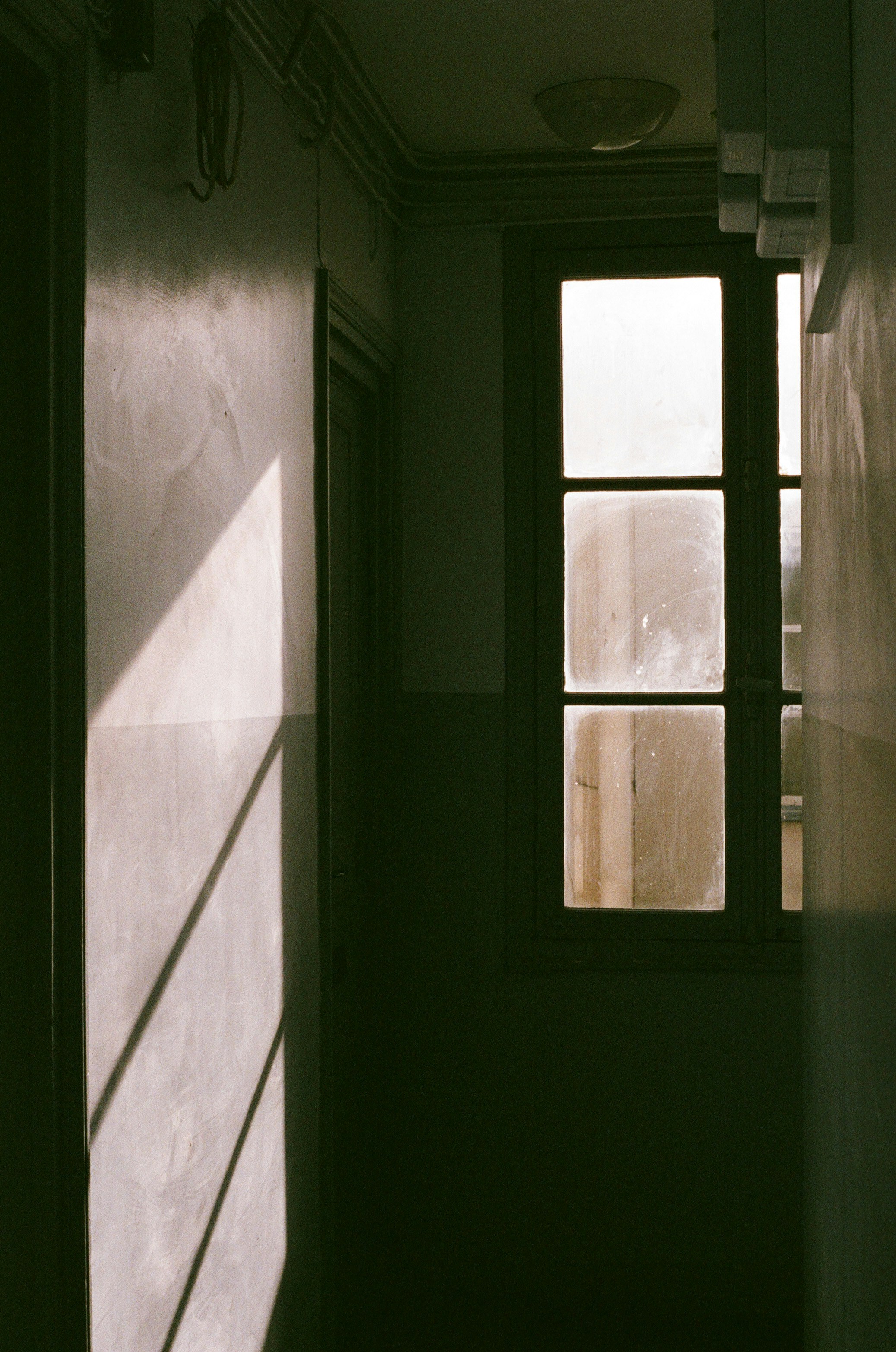 Synthetic Cells: Engineering Life From First Principles