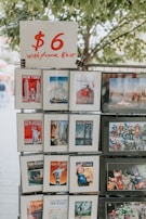 A display stand holds various art prints and posters in frames. Each print features colorful and diverse artwork, including cityscapes and famous magazine covers. A sign on top reads '$6 with frame 8x10'. The background shows leafy trees.