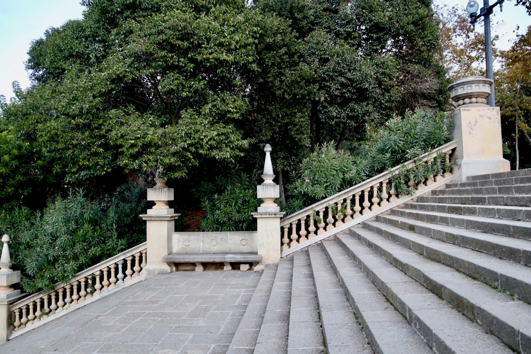 stairs near trees during day