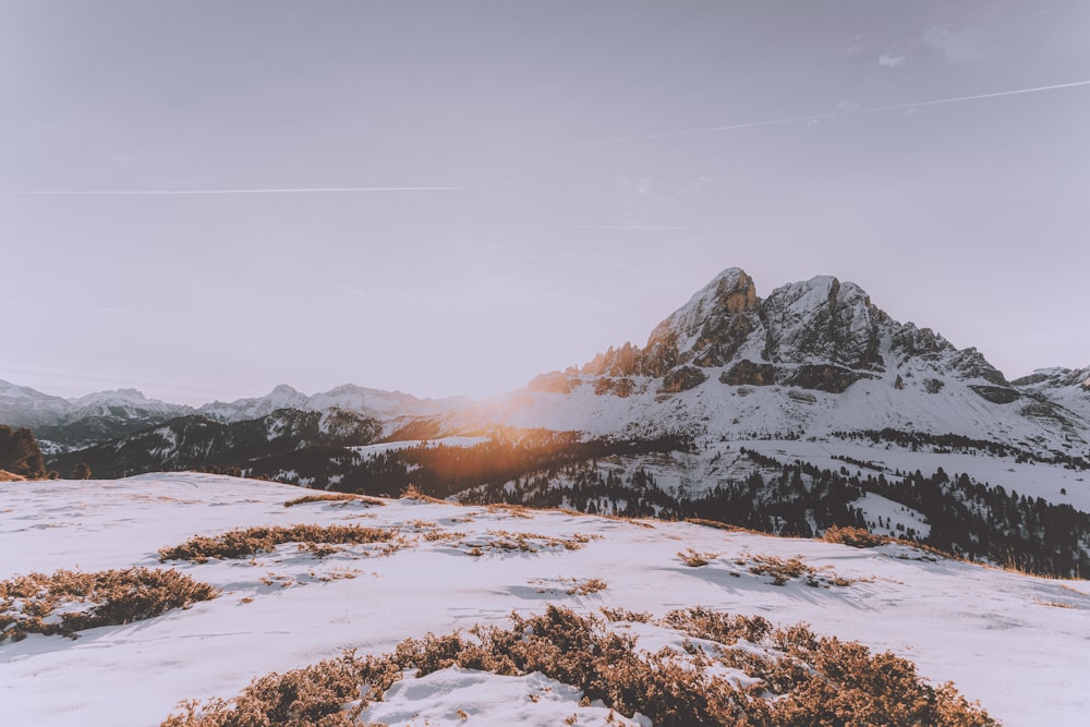 Tagsüber schneebedeckte Berge