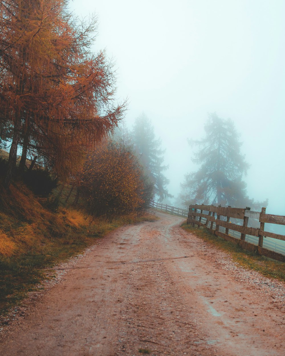 brown dirt road