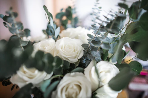 White roses and eucalyptus
