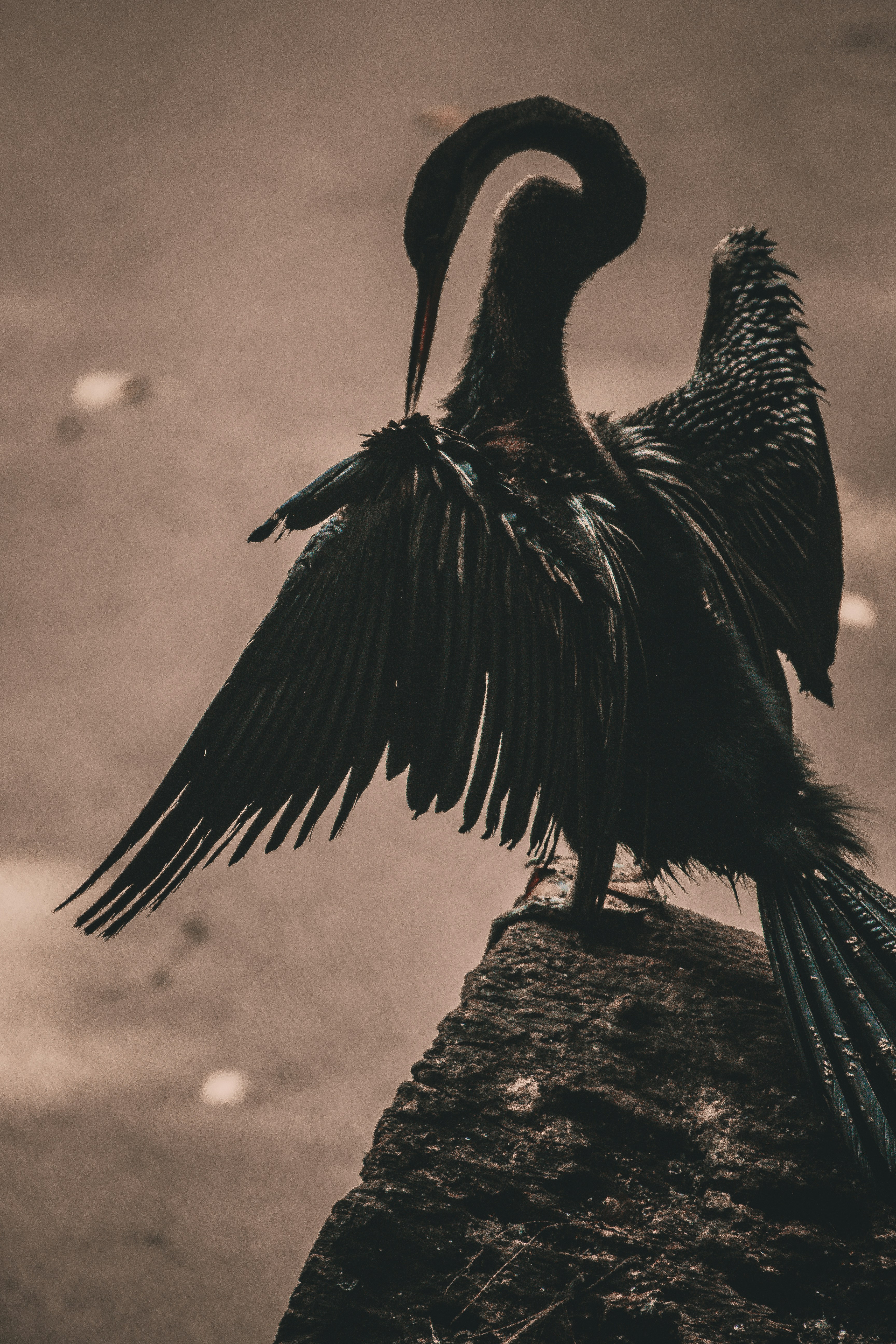 Photo by daniel_joshua_