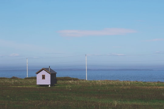 blue shed near body of water in Le Bic Canada