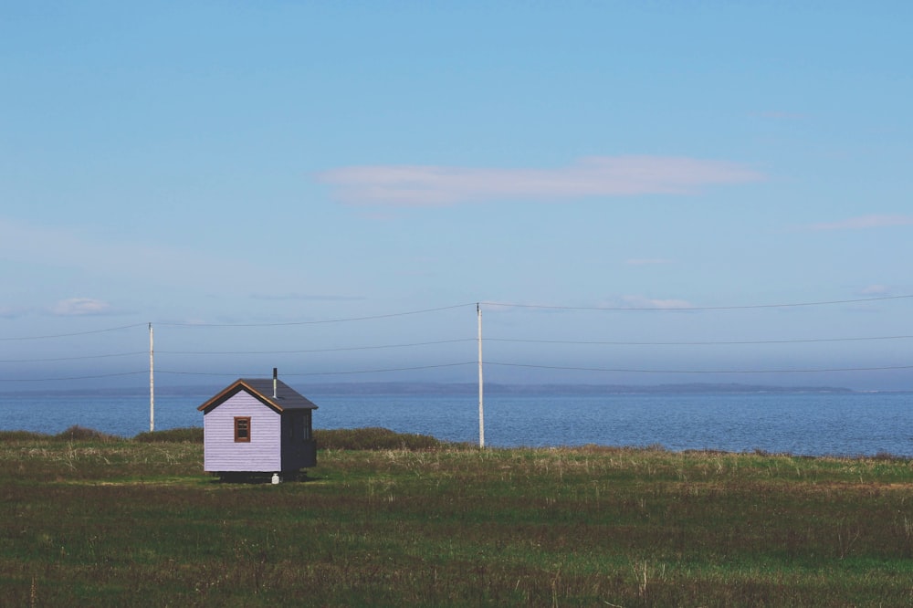 blue shed near body of water