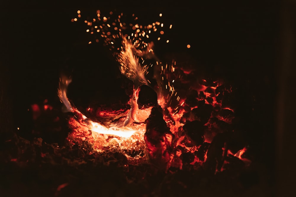 bonfire during night