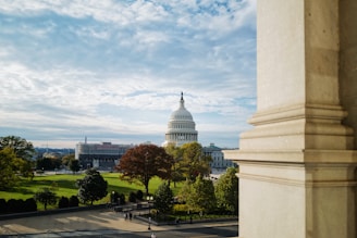 A view of a large, domed government building set against a partly cloudy sky. The foreground features a park area with lush green trees, a clean walkway, and people strolling. An elegant stone column can be seen on the right side.