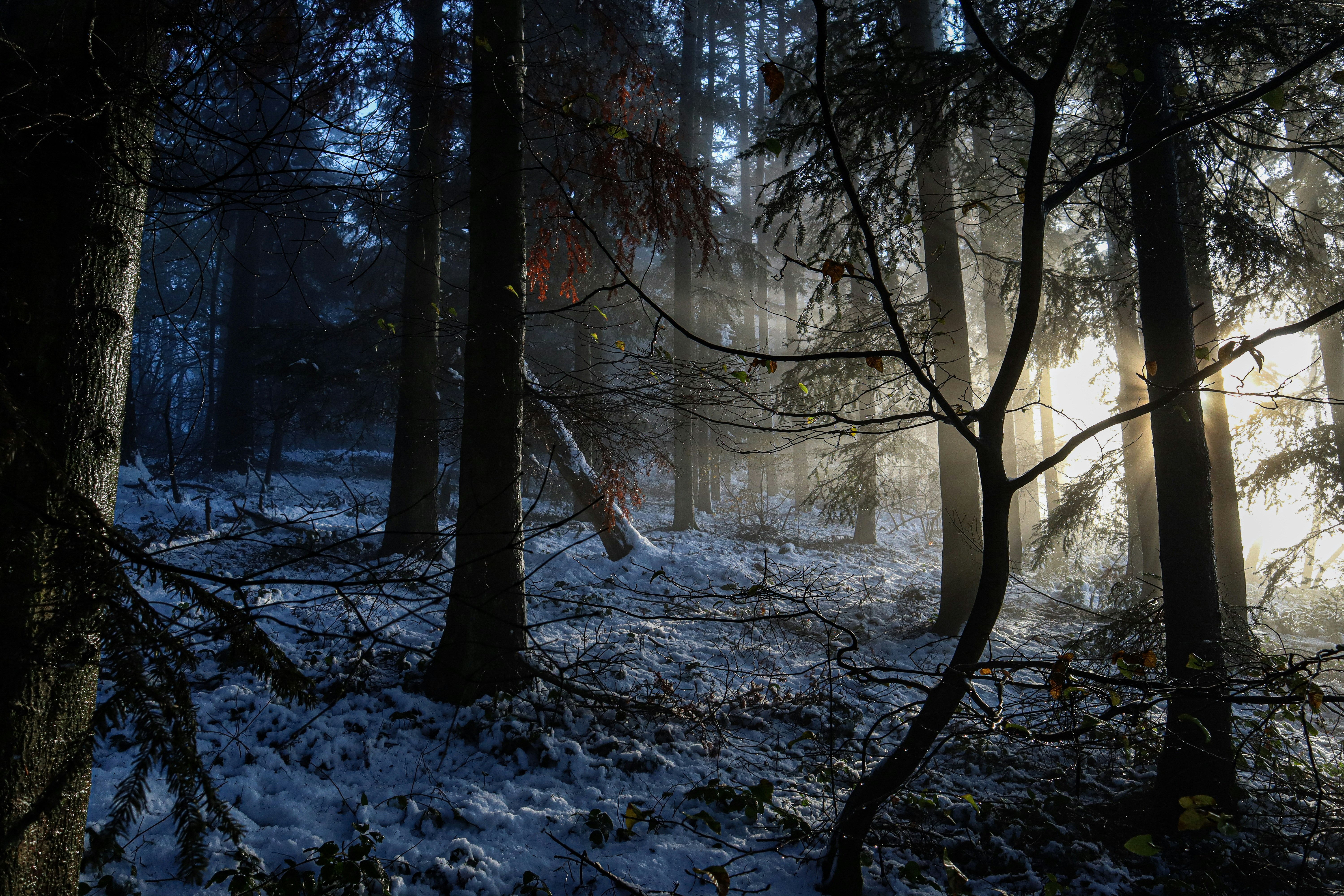 Photo by paultaton