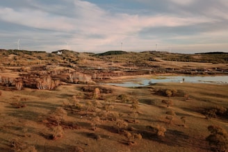 A vast landscape featuring rolling hills, sparse trees, and a small body of water. Wind turbines are scattered across the horizon, providing a sense of renewable energy. The sky is filled with soft clouds, casting gentle shadows over the terrain.