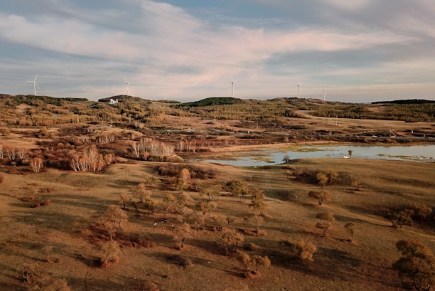 A vast landscape featuring rolling hills, sparse trees, and a small body of water. Wind turbines are scattered across the horizon, providing a sense of renewable energy. The sky is filled with soft clouds, casting gentle shadows over the terrain.
