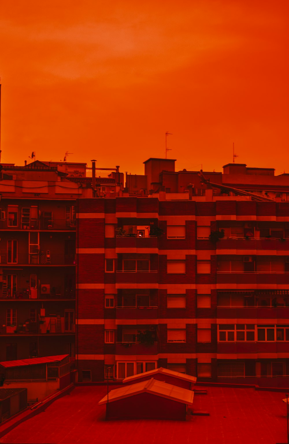 view photography of brown and gray building during golden hour