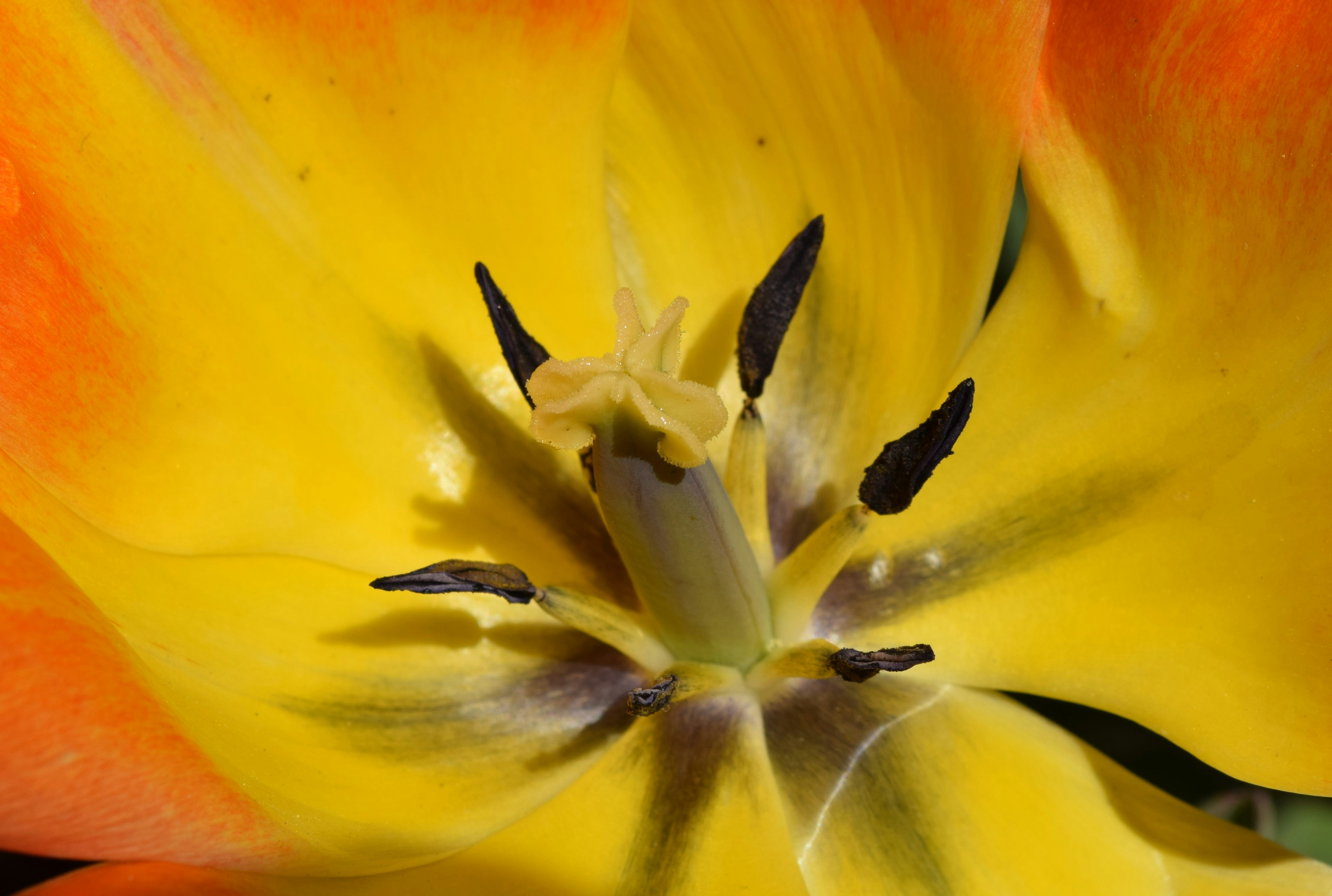 Photo by wthdoyouwantfrommeallnameshavebeenused