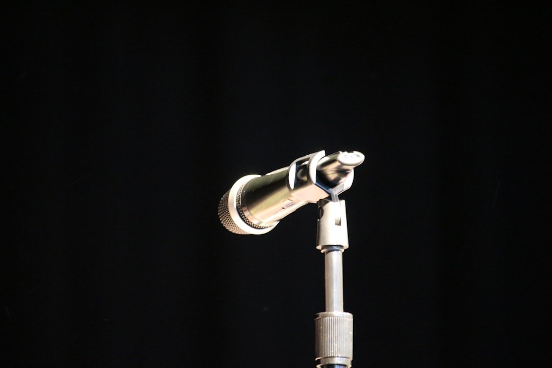 gray microphone with stand