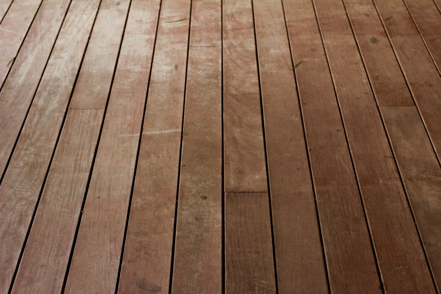 Flooring options