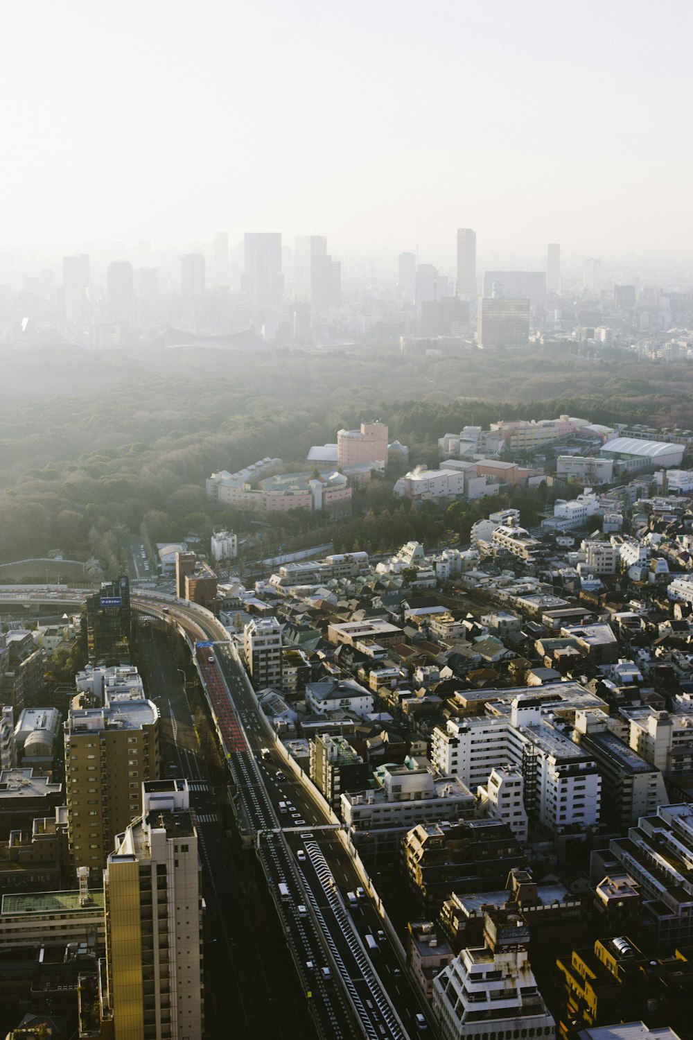 aerial photography of urban city buildings